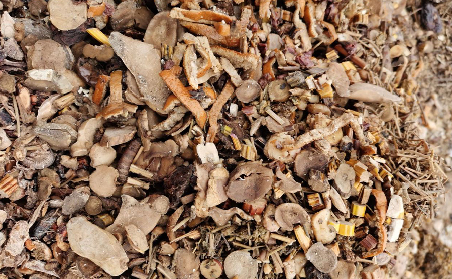 高效中药渣脱水机